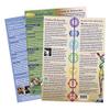 Ohm Therapeutics Tuning Fork Treatment Charts (3)  for Self-Care, Massage Therapy, Energy Practitioners, Chakra Balancing & Sound Therapy view 1