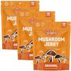 Pan's Mushroom Jerky, Vegan Snacks, Dried Mushrooms Shiitake, Plant based Jerky, Meatless Jerky, Gluten Free, High in Fiber, with Original flavor (2.2 Ounce, Pack of 3) view 1