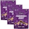 Pan's Mushroom Jerky, Vegan Snacks, Dried Mushrooms Shiitake, Plant based Jerky, Meatless Jerky, Gluten Free, High in Fiber, with Zesty Thai flavor (2.2 Ounce, Pack of 3) view 1