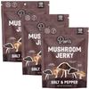 Pan's Mushroom Jerky, Vegan Snacks, Dried Mushrooms Shiitake, Plant based Jerky, Meatless Jerky, Gluten Free, High in Fiber, with Salt & Pepper flavor (2.2 Ounce, Pack of 3) view 1