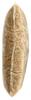 365 by Whole Foods Market, Long Grain Brown Rice, 80 Ounce view 4
