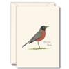 Earth Sky + Water - American Robin Notecard Set - 8 Blank Cards with Envelopes view 1