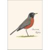 Earth Sky + Water - American Robin Notecard Set - 8 Blank Cards with Envelopes view 2