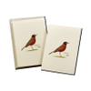 Earth Sky + Water - American Robin Notecard Set - 8 Blank Cards with Envelopes view 3