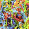 Colorful Mix of Crinkle Paper for Birthdays, Gift Bags or Easter Baskets (Bright Colors Mix, 1/2 Pound) view 2