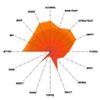 Northern Brewer - Swig of Sunbeams East Coast IPA Extract Beer Recipe Kit Makes 5 Gallons view 2