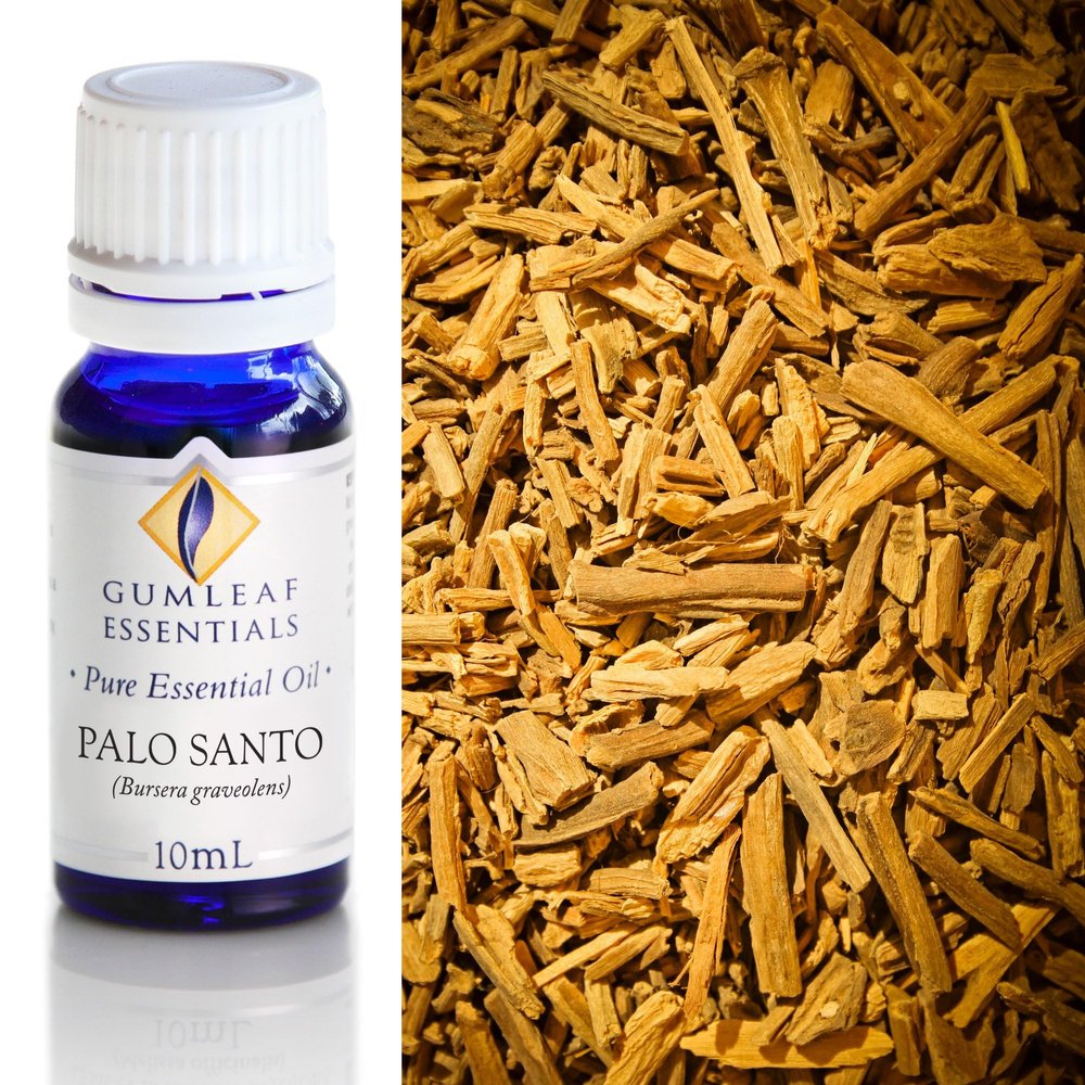 Gumleaf Essentials Palo Santo Essential Oil - 0.34fl oz, Cruelty Free & Vegan, 100% Pure & Natural