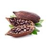 TTB Cocoa Flavoring - TTB-Approved for Brewing - PG Free - Non-GMO - Gluten Free - Vegan - 32 ounces view 2