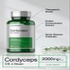 Horbach Cordyceps Mushroom Capsules | 200 Count | CS-4 Strain Cordyceps Sinesis | Non-GMO Herbal Supplement view 3