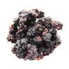 Buy Whole Foods Organic Black Mulberries (1kg) view 4