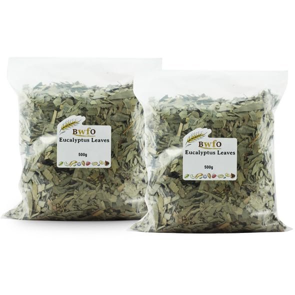 Buy Whole Foods Eucalyptus Leaves (1kg)