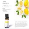 Auxo Gardens Citrus Essential Oil Set - Pack of 6, 10ml, Pure Therapeutic Grade Fruity Essential Oils includes Lemon, Grapefruit, Sweet Orange, Lime, Bergamot and Petitgrain view 2