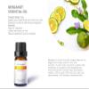 Auxo Gardens Citrus Essential Oil Set - Pack of 6, 10ml, Pure Therapeutic Grade Fruity Essential Oils includes Lemon, Grapefruit, Sweet Orange, Lime, Bergamot and Petitgrain view 3