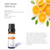 Auxo Gardens Citrus Essential Oil Set - Pack of 6, 10ml, Pure Therapeutic Grade Fruity Essential Oils includes Lemon, Grapefruit, Sweet Orange, Lime, Bergamot and Petitgrain view 4