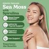 Atlantic Naturals Sea Moss with Spirulina Superfood Capsules - Multivitamin Supplement Supports Healthy Iron and Immune Health, Alternative to Seamoss Gel and Powder - Irish Sea Moss Capsules (120 ct) view 2