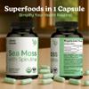 Atlantic Naturals Sea Moss with Spirulina Superfood Capsules - Multivitamin Supplement Supports Healthy Iron and Immune Health, Alternative to Seamoss Gel and Powder - Irish Sea Moss Capsules (120 ct) view 3