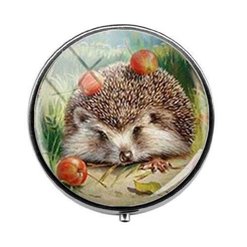 Beautiful Vintage Hedgehog Pill Box - Charm Pill Box - Glass Candy Box Art Photo Jewelry Birthday Festival Gift Beautiful Gift
