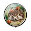 Beautiful Vintage Hedgehog Pill Box - Charm Pill Box - Glass Candy Box Art Photo Jewelry Birthday Festival Gift Beautiful Gift view 1