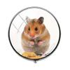 Beautiful Lovely Small Pet Mouse Hamster Pill Box - Charm Pill Box - Glass Candy Box Art Photo Jewelry Birthday Festival Gift Beautiful Gift view 1