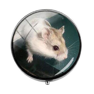 Beautiful Lovely Small Pet Mouse Hamster Pill Box - Charm Pill Box - Glass Candy Box Art Photo Jewelry Birthday Festival Gift Beautiful Gift