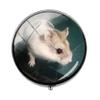 Beautiful Lovely Small Pet Mouse Hamster Pill Box - Charm Pill Box - Glass Candy Box Art Photo Jewelry Birthday Festival Gift Beautiful Gift view 1
