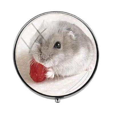 Beautiful Lovely Small Pet Mouse Hamster Pill Box - Charm Pill Box - Glass Candy Box Art Photo Jewelry Birthday Festival Gift Beautiful Gift