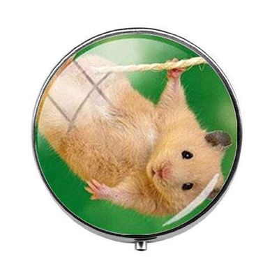 Beautiful Lovely Small Pet Mouse Hamster Pill Box - Charm Pill Box - Glass Candy Box Art Photo Jewelry Birthday Festival Gift Beautiful Gift