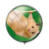 Beautiful Lovely Small Pet Mouse Hamster Pill Box - Charm Pill Box - Glass Candy Box Art Photo Jewelry Birthday Festival Gift Beautiful Gift view 1