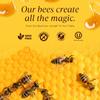 100% Raw Edible Honeycomb by Pure Southern Honey (14 Ounce (Pack of 1)) view 4