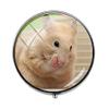 Beautiful Lovely Small Pet Mouse Hamster Pill Box - Charm Pill Box - Glass Candy Box Art Photo Jewelry Birthday Festival Gift Beautiful Gift view 1