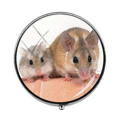 Beautiful Lovely Small Pet Mouse Hamster Pill Box - Charm Pill Box - Glass Candy Box Art Photo Jewelry Birthday Festival Gift Beautiful Gift