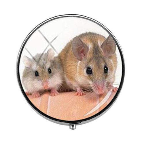 Beautiful Lovely Small Pet Mouse Hamster Pill Box - Charm Pill Box - Glass Candy Box Art Photo Jewelry Birthday Festival Gift Beautiful Gift