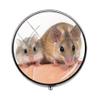 Beautiful Lovely Small Pet Mouse Hamster Pill Box - Charm Pill Box - Glass Candy Box Art Photo Jewelry Birthday Festival Gift Beautiful Gift view 1