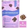 Clusterbucks Superfood Clusters  Grain-Free, Keto-Friendly Granola with Regeneratively Grown Sprouted Buckwheat Gluten-Free, Low-Carb, Organic Healthy Snack (6 Ounce (Pack of 6), Chocolate Sea Salt) view 1