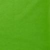 480ea - 480-15 X 20 Lime Green Premium Tissue Paper view 1