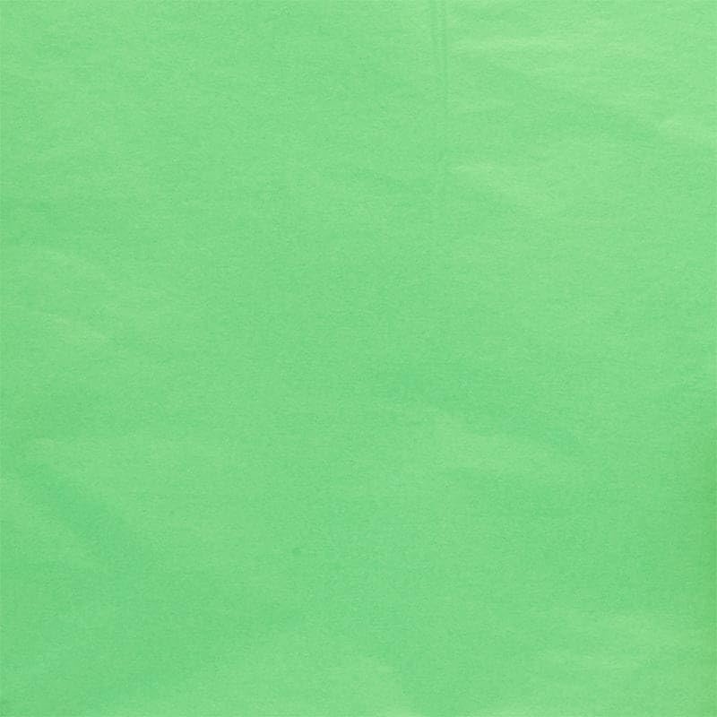 480ea - 480-15 X 20 Cool Mint Green Premium Tissue Paper