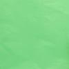 480ea - 480-15 X 20 Cool Mint Green Premium Tissue Paper view 1