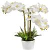 v-max 28 inches Artificial Phalaenopsis Orchid in White Round Pot view 1