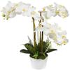 v-max 28 inches Artificial Phalaenopsis Orchid in White Round Pot view 2