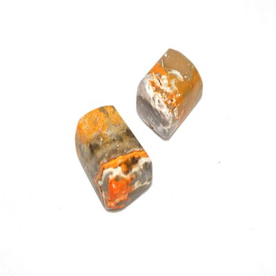 Jet Bumble Bee Jasper Tumbled Stones (2 Piece) Natural Crystal for Confidence, Positivity & Motivation Energy Balancing Healing Gemstones for Home Dcor, Meditation & Gift