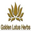 Golden Lotus Herbs Lung & Throat Herbal Lozenges - QAI Certified Organic (12-Pack) view 3