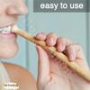 10 Siwak Meswak Miswak Miswak Arak Peelu Chewing Stick With Natural Flavor Herbal Toothbrush Vacuum Sealed Breath Freshener (Ten Tooth Sticks) view 4