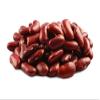 Aiva Dark Red Kidney Beans (4 LB)  Premium Dried Beans for Soups, Stews, Chili, and Meal Prep view 3