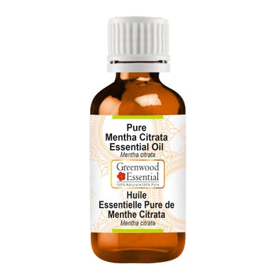 Greenwood Essential Pure Mentha Citrata Essential Oil (Mentha citrata) Steam Distilled 100ml (3.38 oz)