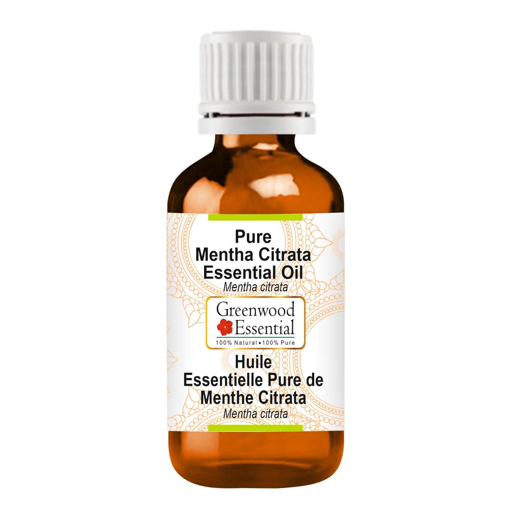 Greenwood Essential Pure Mentha Citrata Essential Oil (Mentha citrata) Steam Distilled 100ml (3.38 oz)