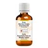 Greenwood Essential Pure Mentha Citrata Essential Oil (Mentha citrata) Steam Distilled 100ml (3.38 oz) view 1