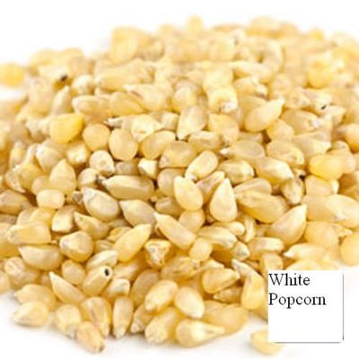 Unpopped Popcorn Kernels (Baby White, 4 LB)