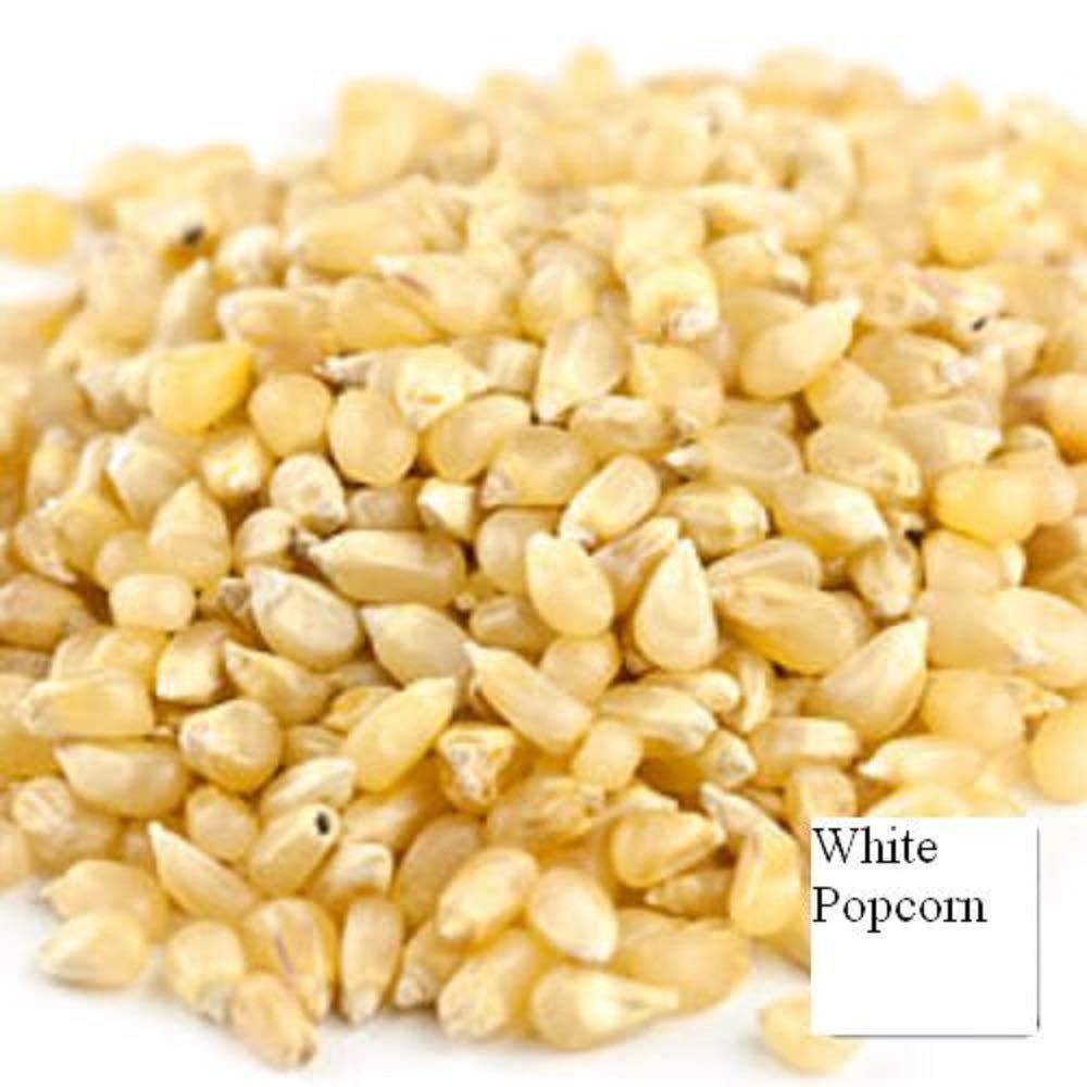 Unpopped Popcorn Kernels (Baby White, 4 LB)