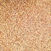 100% Organic Hulled Spelt Berries; Bulk view 1