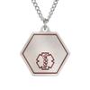 American Medical ID  Classic Alert Necklace With Stainless Steel Hexagon Identification Tag. Select 18, 20, 24 or 27 inch length. Alerts EMS To Medical Conditions, Allergies, Emergency Contacts. view 1